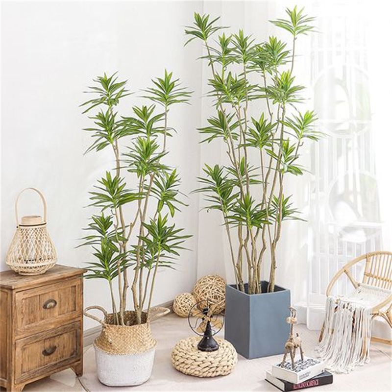 百合竹长花龙血树植物北欧大型客厅办公室盆栽含大绿植包邮盆景