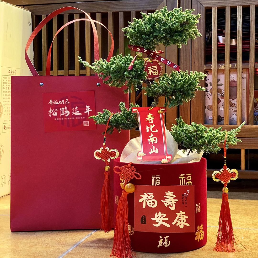 五层塔松盆栽送老人祝寿绿植盆景真室内松鹤延年植物退休开业礼物